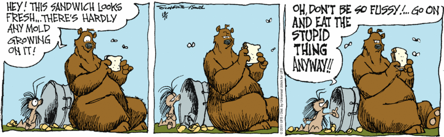 grizzwells